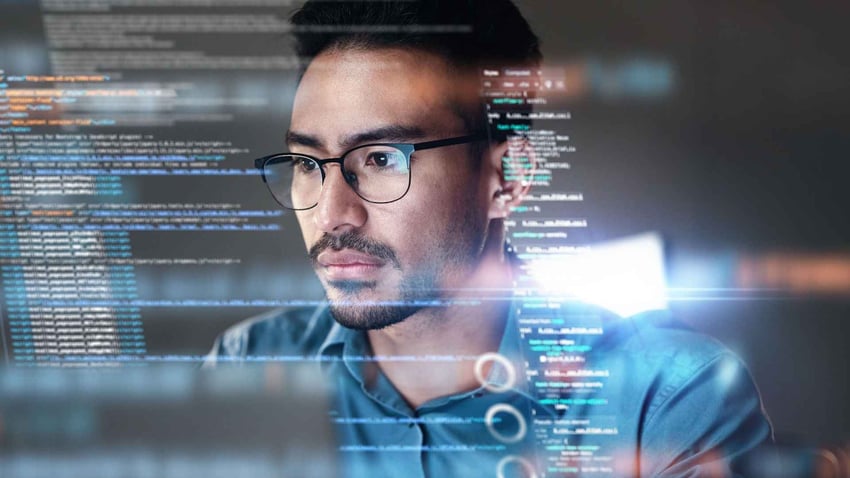 The expert human in the loop  a person working with data